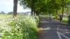 2012 HWK 053_small.jpg